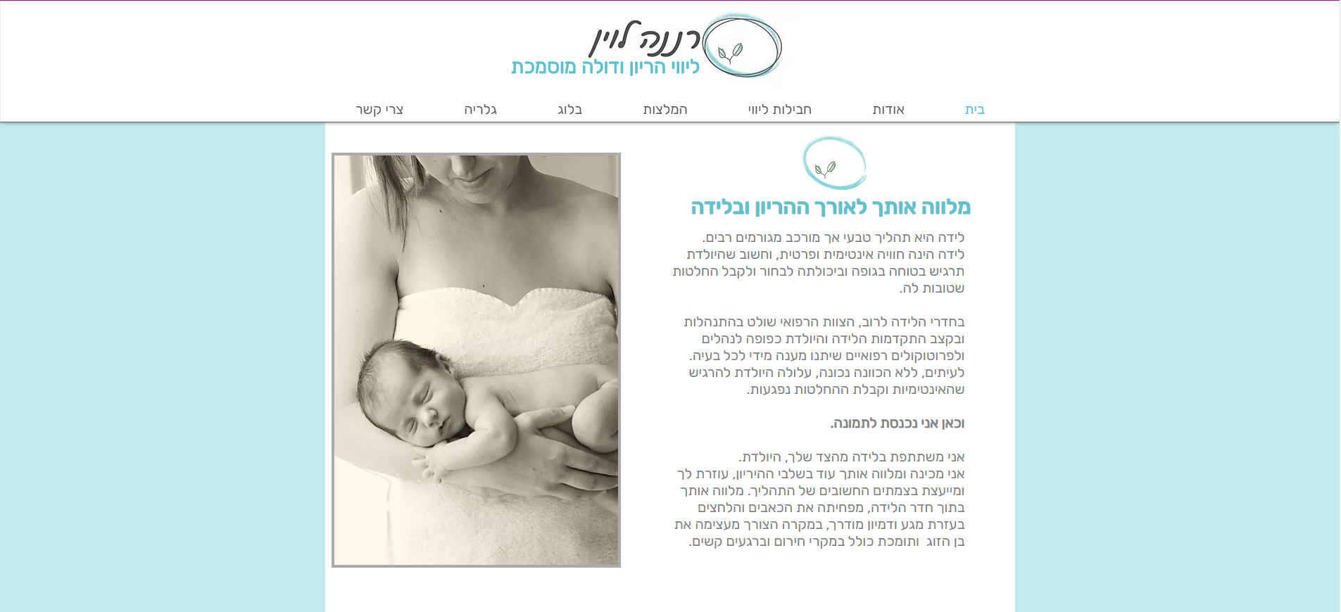 סמדר שפיגל פלד - עיצוב אתר