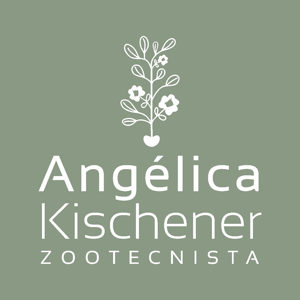 @angelicakischenernutri
