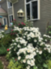IMG_1586.jpeg