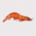 GAMBAS GEANTES