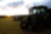 Farm (57).JPG