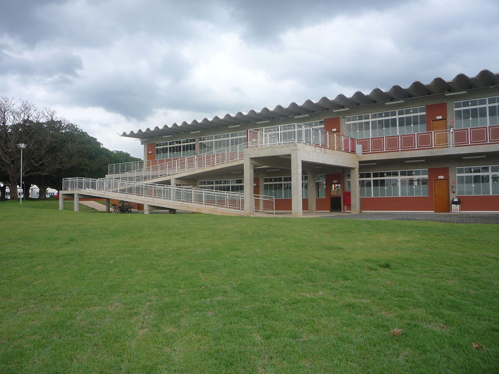 Instituição de Ensino Universitário