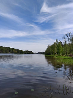 IMG_20190519_112229.jpg