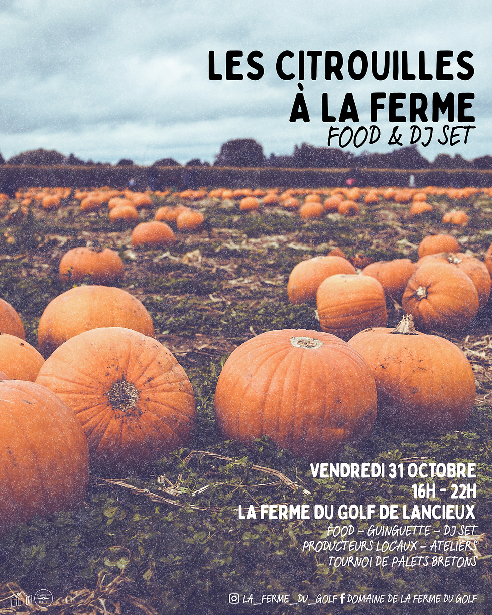 LES CITROUILLES A LA FERME