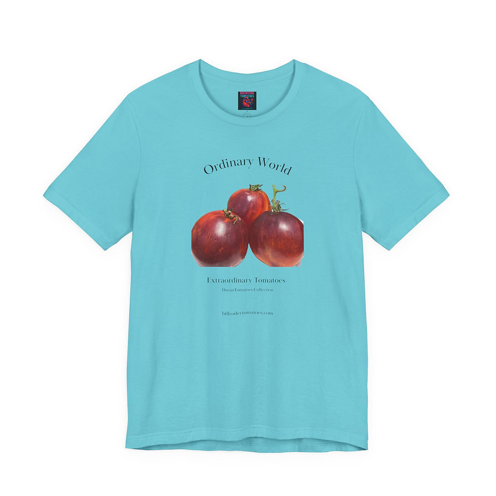 Thumbnail: Ordinary World T-Shirt