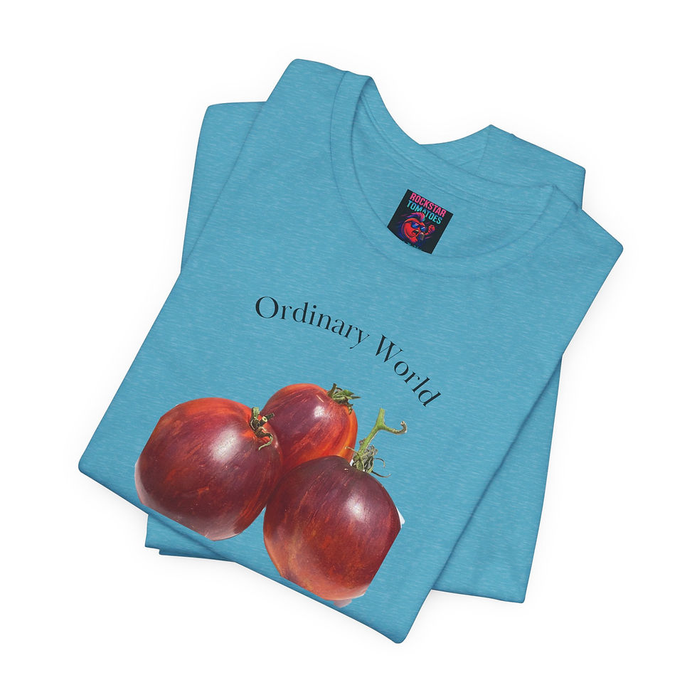 Thumbnail: Ordinary World T-Shirt