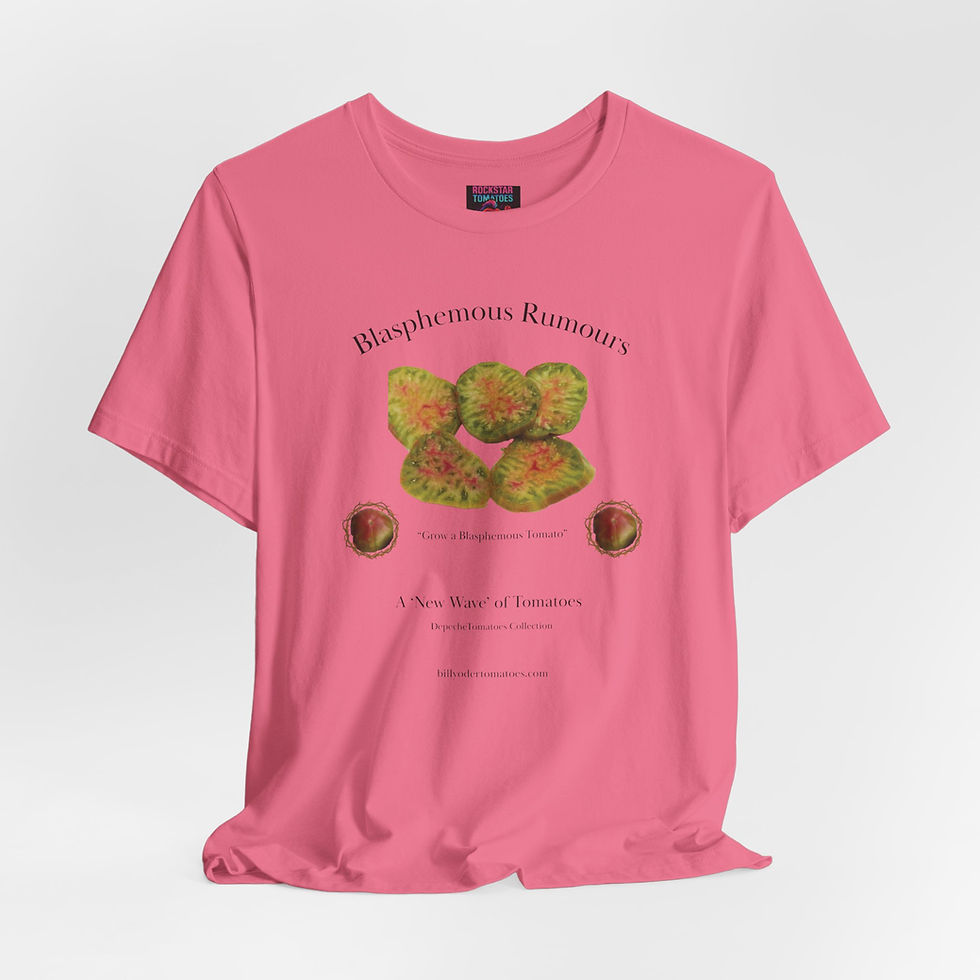 Thumbnail: BlasphemousRumors Black Lettering T-Shirt