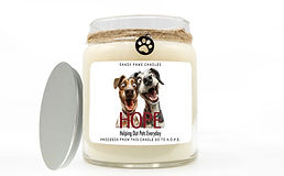 Candle Dog 1.jpeg