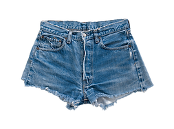 Denim Shorts  _edited.png