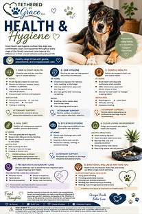 Tethered by Grace Health & Hygiene dog care infographic