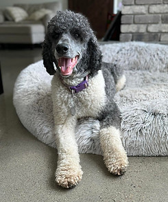 Maggie