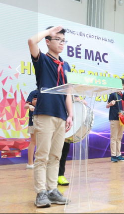 Việt Anh