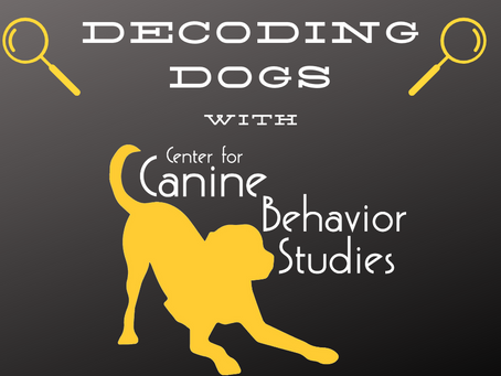 Decoding Dogs: Trancing