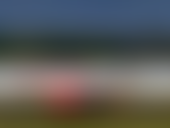 Air India airline staff assisting passengers at Delhi airport amid fog