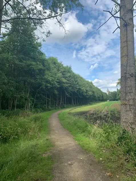 Padje achter het huis