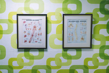 Fotokaders over anatomie