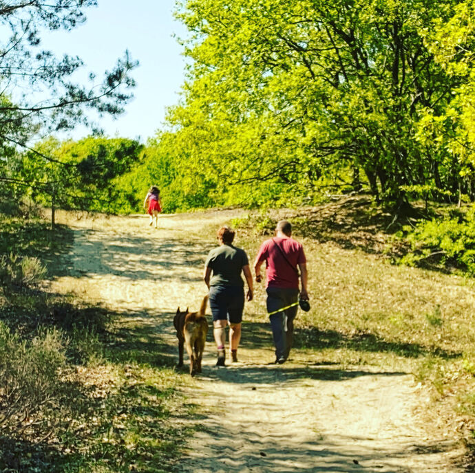 De wandelmicroob