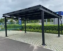 Greenpowr carport dubbele wagen