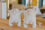 TOOP molletjes met brillen voor tieners