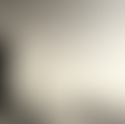 De rol van de uitdager in strategische verandering