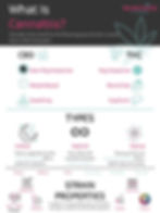 What Is Cannabis Infographic