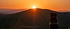 Banner_Sunset-Dog-800px.jpg