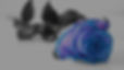SingleBlueRose.jpg