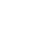 SATELLITE W.png
