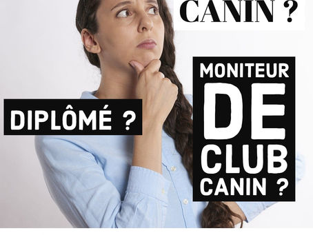 Comment trouver la bonne personne quoi vous accompagnera dans l’ éducation de votre chien?