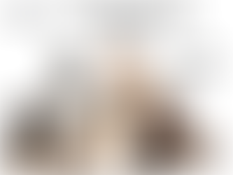La socialisation du chiot 