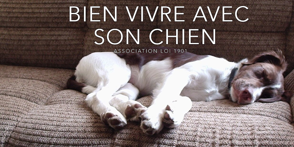 Ouverture des inscriptions Adhésions chiots / chiens adultes / jeux canins