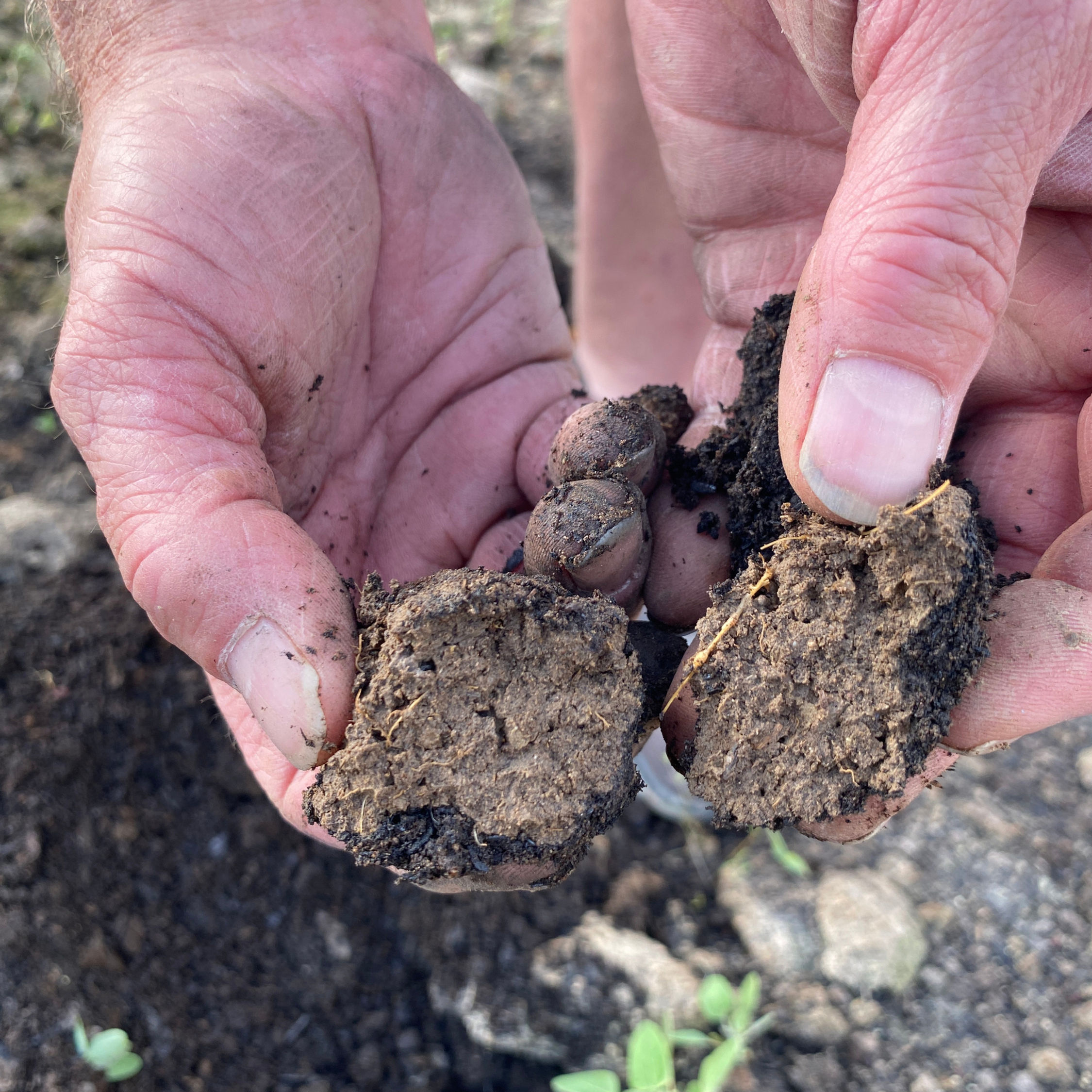 Soil Test Strategy and Interpretation Session