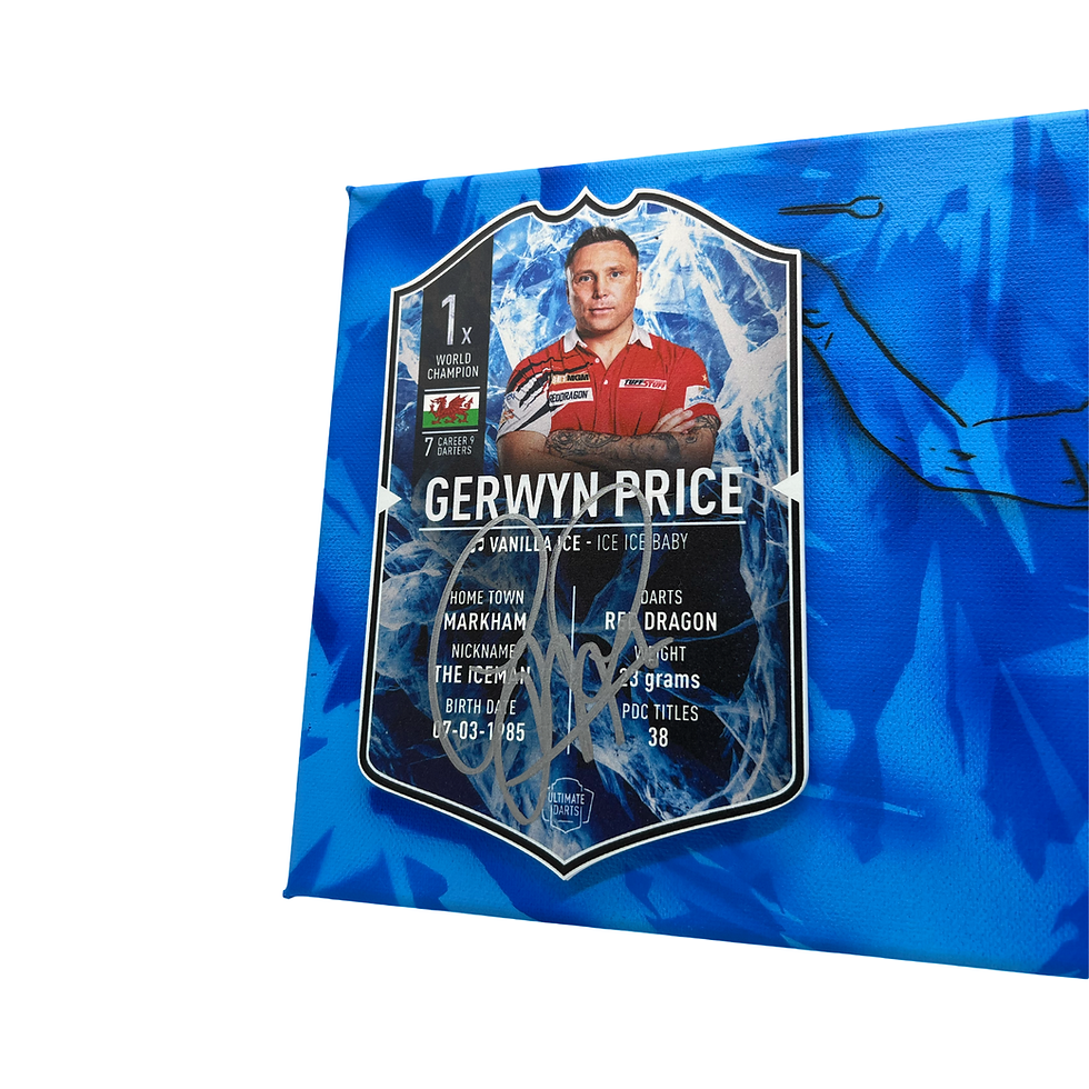 Thumbnail: Gerwyn Price Sammler Leinwand signiert