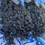 Thumbnail: Raw Indian Wavy/Curly