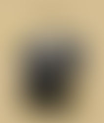 * Weihnachtsgrüsse*