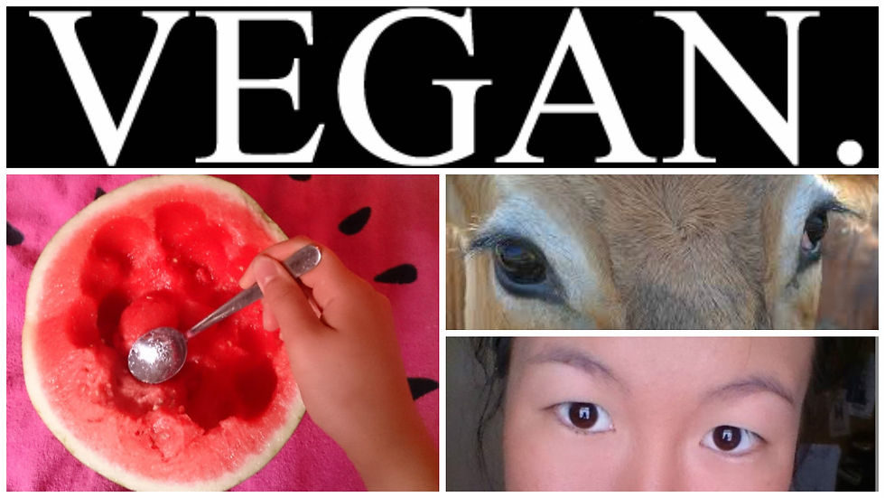 my vegan story lilygreen