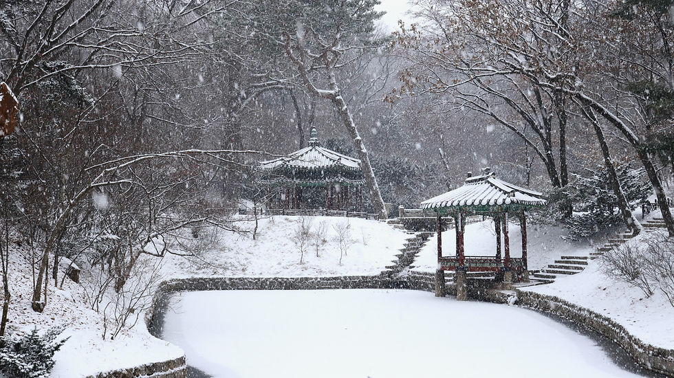 Changdeokgung, Secret Garden, Seoul palace, Korean palace, Hanok, Korean traditional house, 창덕궁, 창덕궁 후원, 궁, 한옥