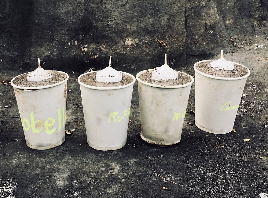 Earthen candle holder workshop