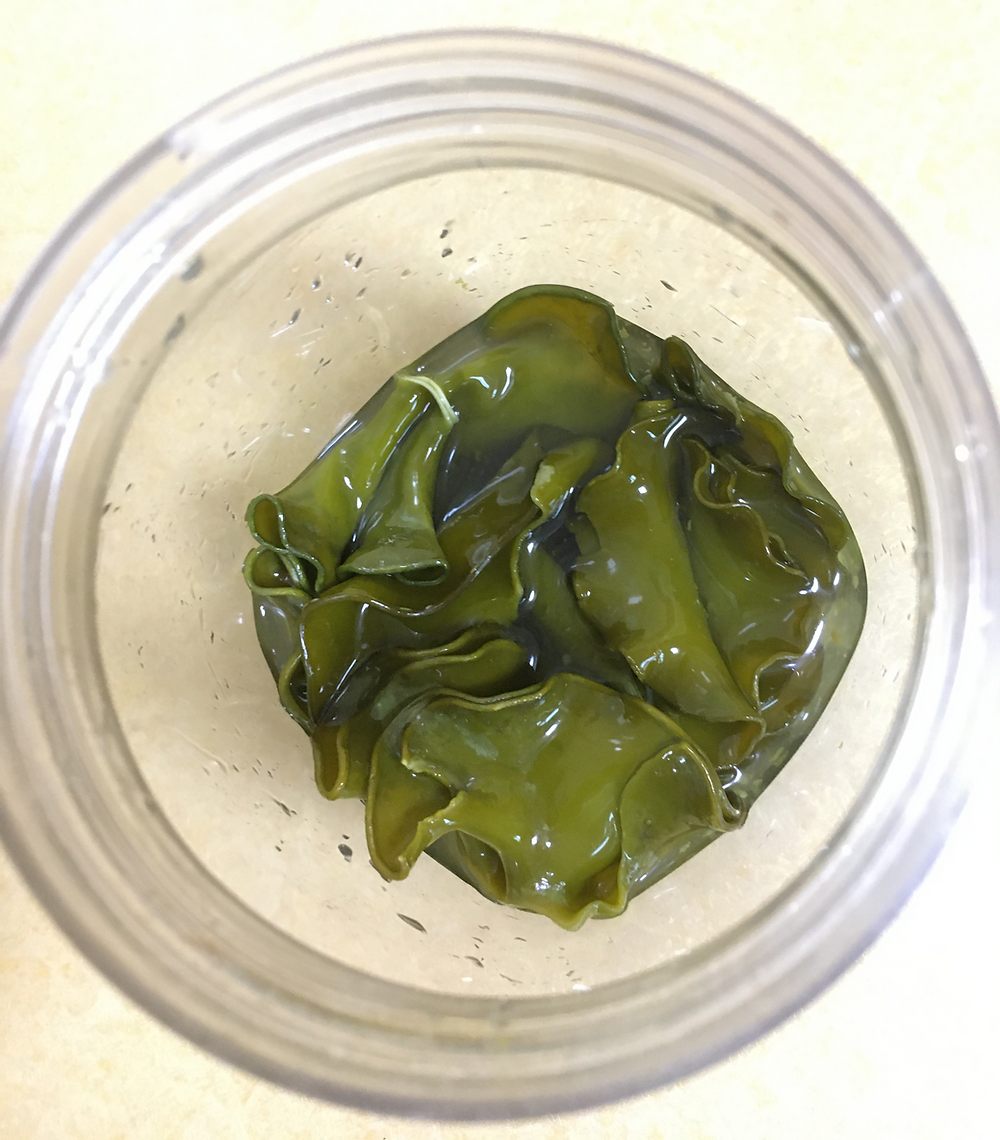 When seaweed is submerged in water, it produces viscous liquid because of alginic acid found in sweeweed