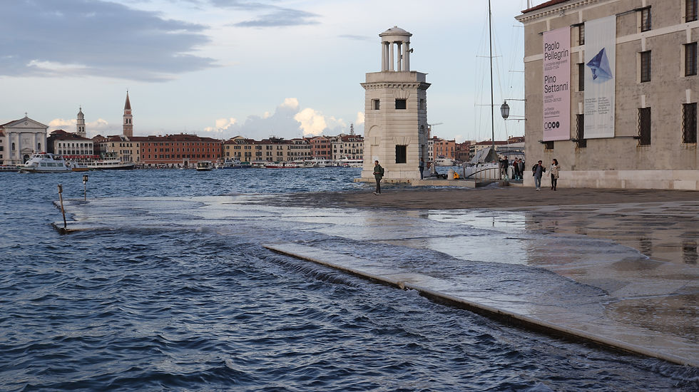 Flooded Venice, flooding of Venice, flooding, rising sea level, climate change