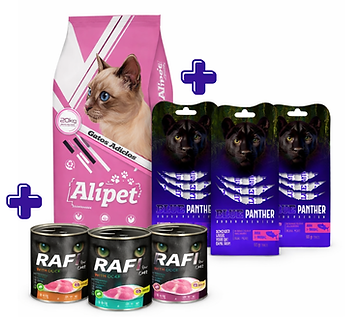 Untitled design (7).png