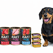 ChatGPT Image Feb 24, 2026, 08_43_12 PM.png