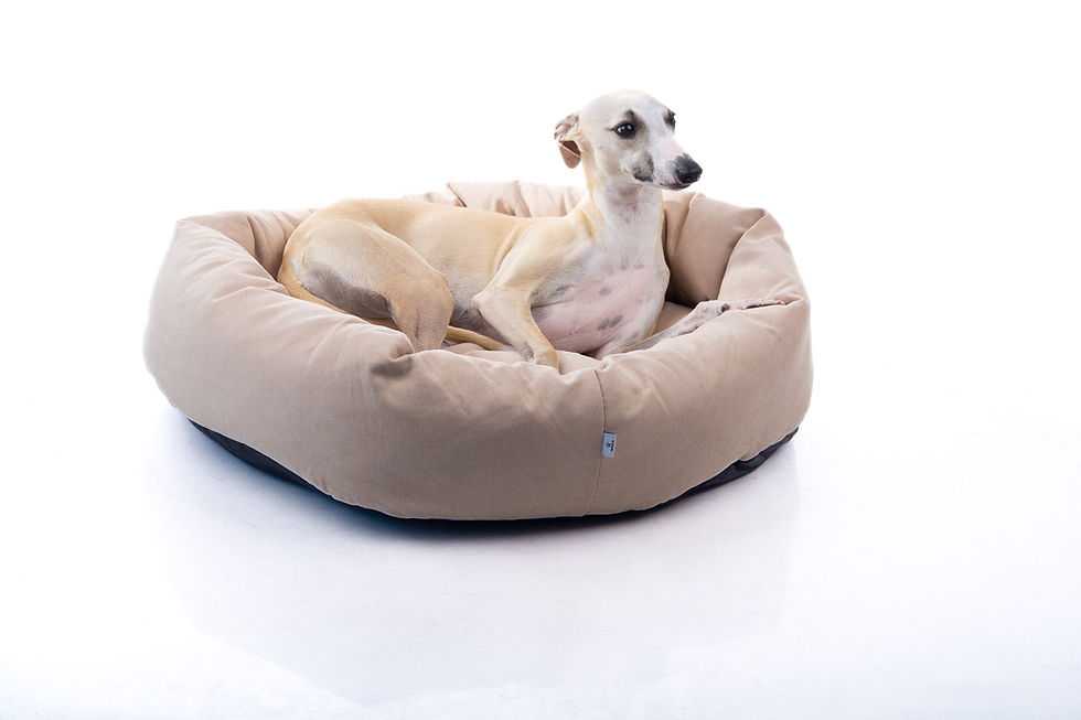 תמונה ממוזערת: מיטה לכלב קטן ובינוני דגם ARIA