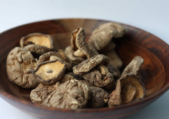 Mycothérapie