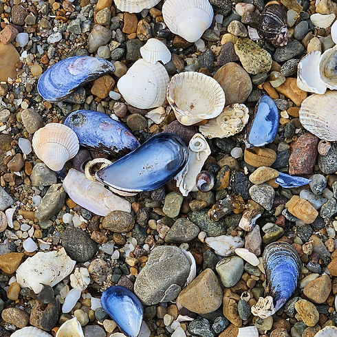 20240921_115634 - Copy Square.jpg