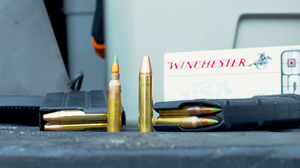 Maryland Straight Wall Cartridge Hunting