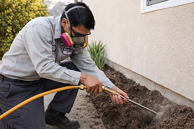 subterranean-termite-soil-treatment-foundation-injection.png