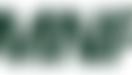 MNP LLP