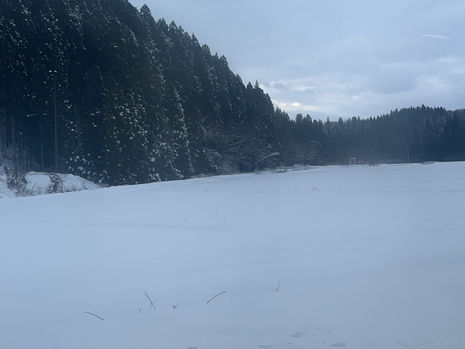 What a beautiful "White Christmas" !!!