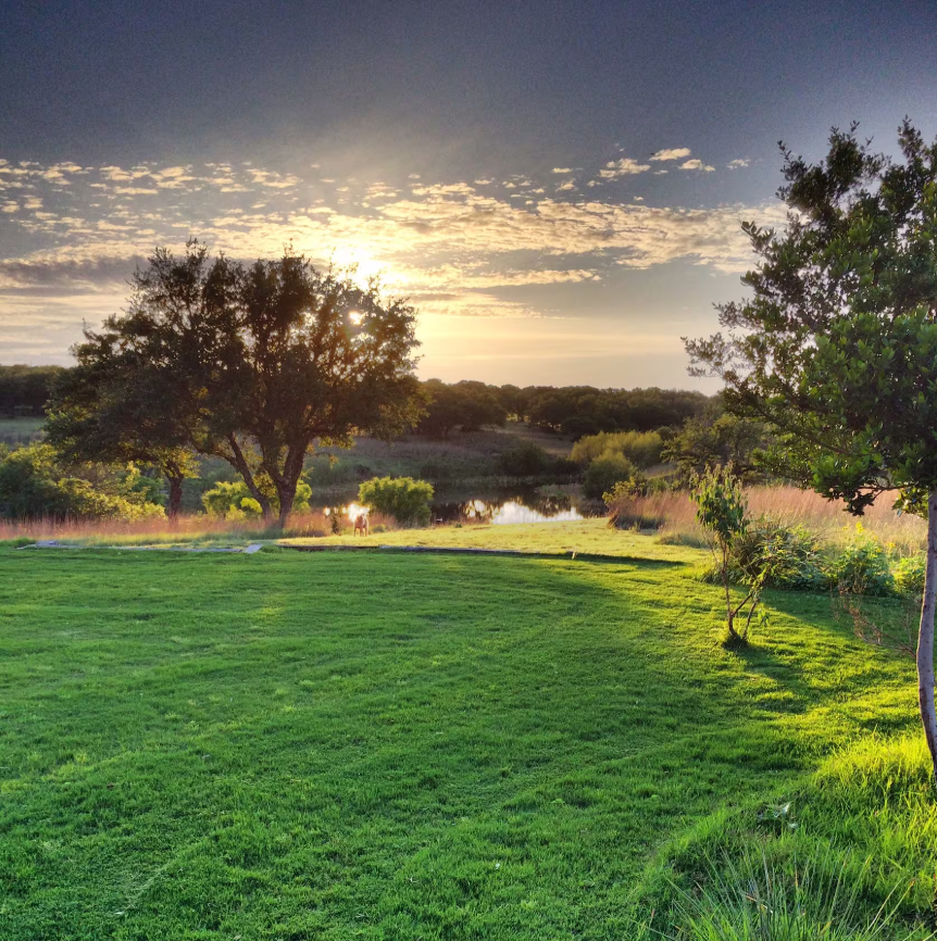 Around the Ranch